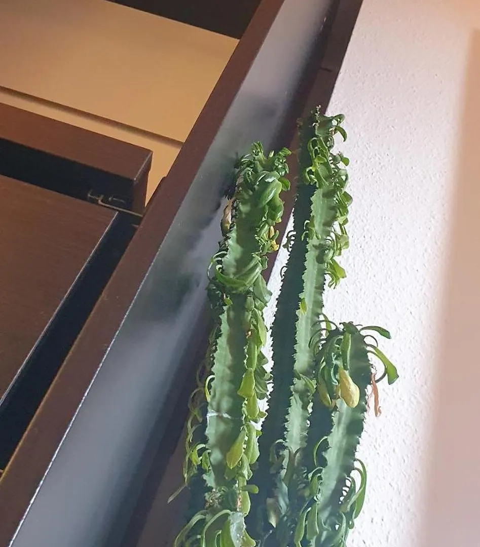 Work&Relax Bc Apartment Stuttgart Germany